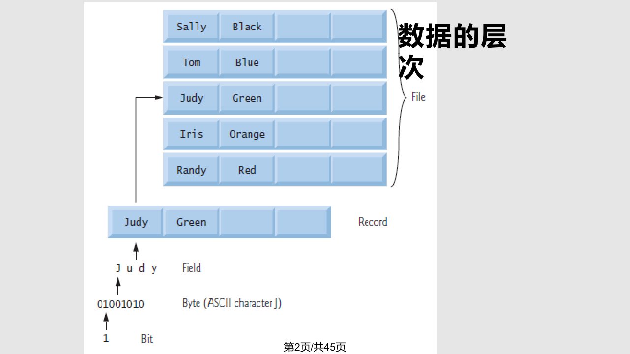 C文件和IO流final课稿实用