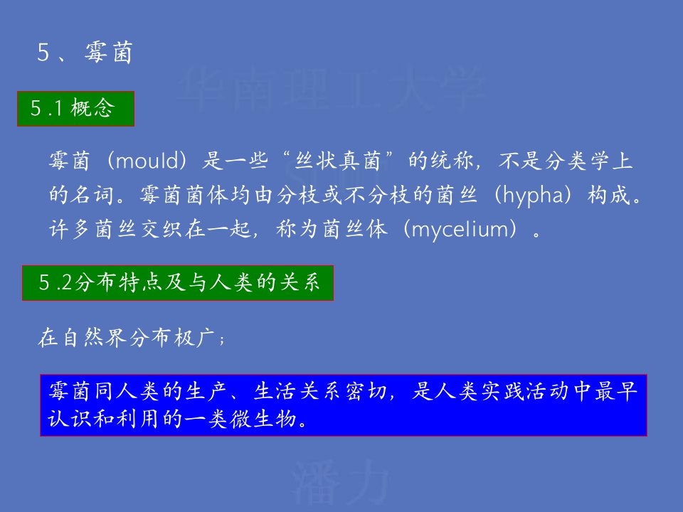 《重要的微生物种类》PPT课件