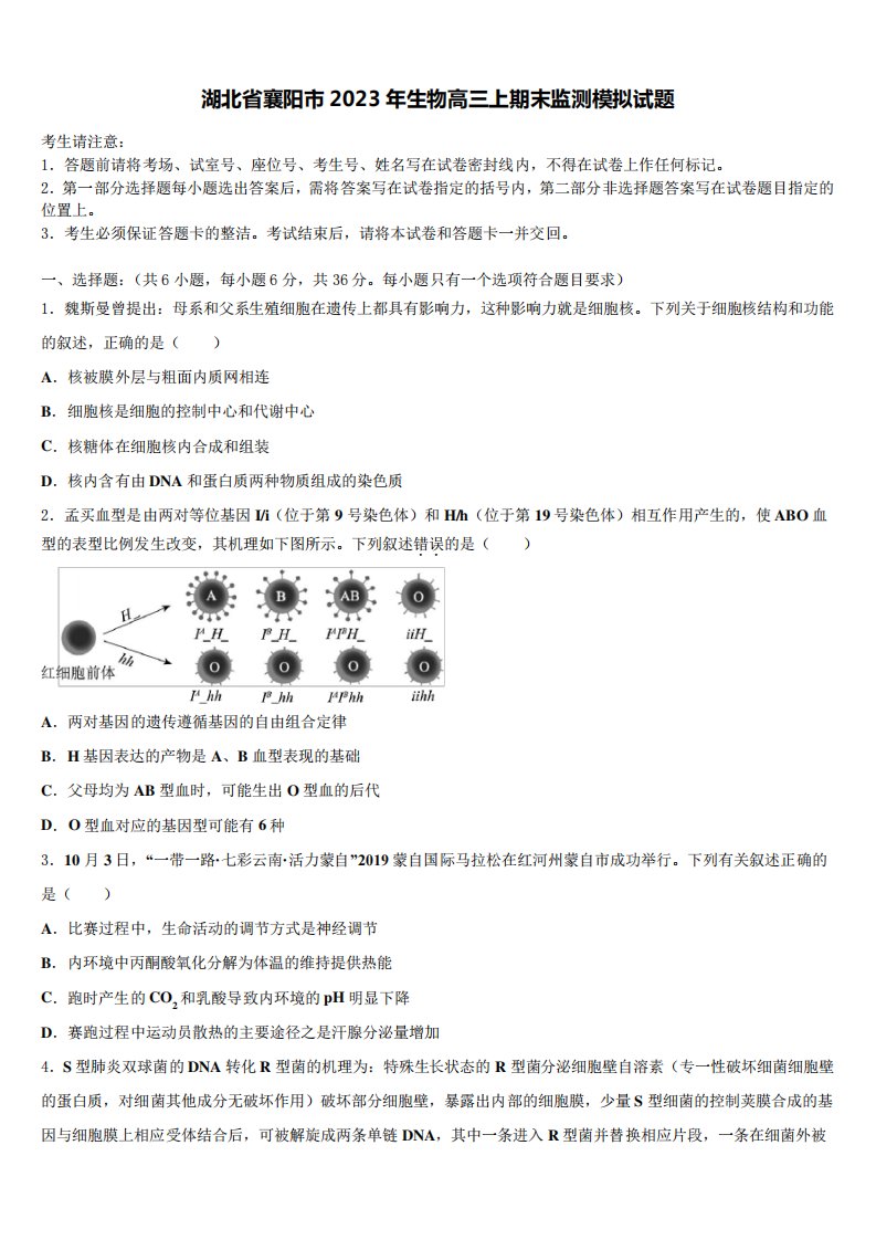 湖北省襄阳市2023年生物高三上期末监测模拟试题含解析