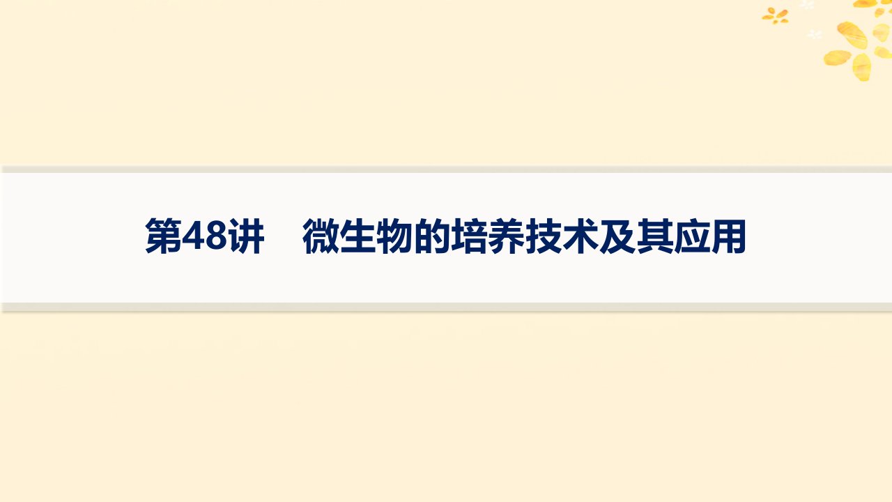 适用于新高考新教材备战2025届高考生物一轮总复习第10单元生物技术与工程第48讲微生物的培养技术及其应用课件