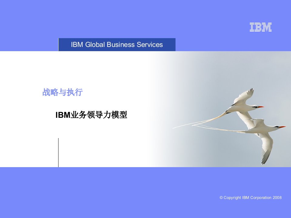 IBM-战略与执行：IBM业务领导力模型