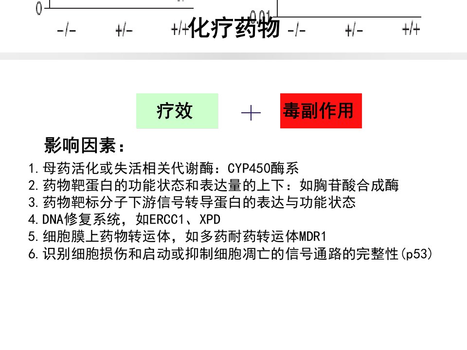 肿瘤化疗药物个体化治疗