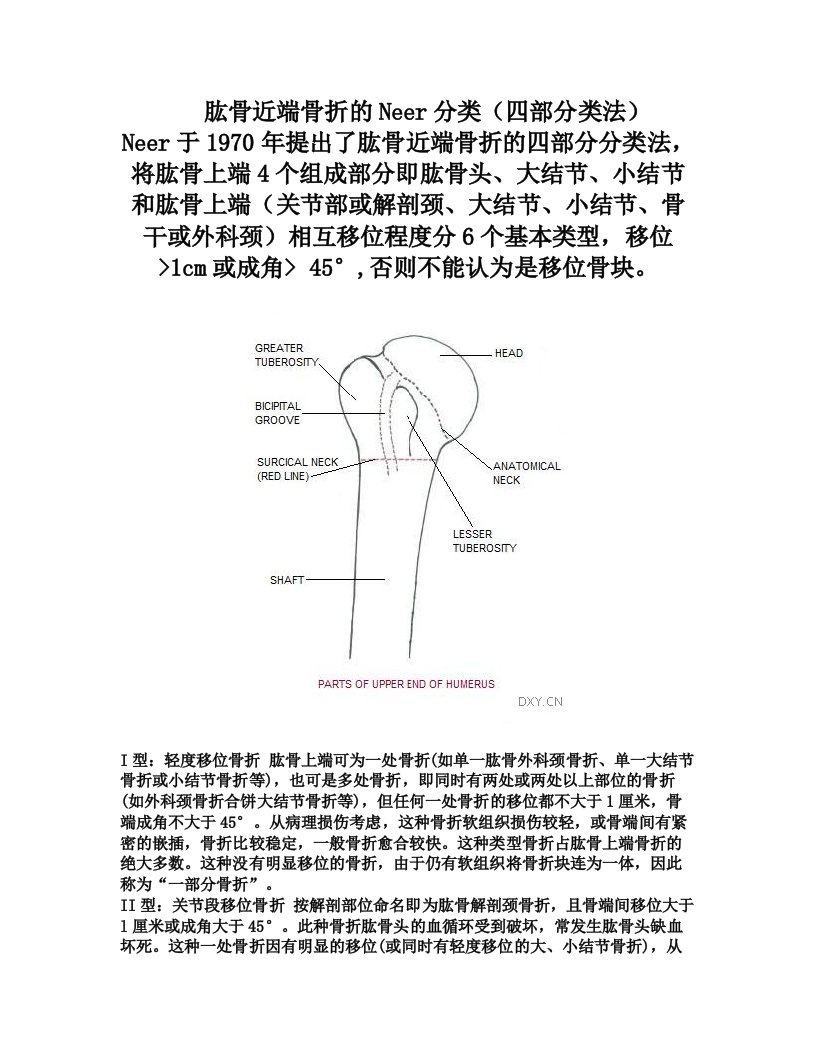 肩关节neer分型