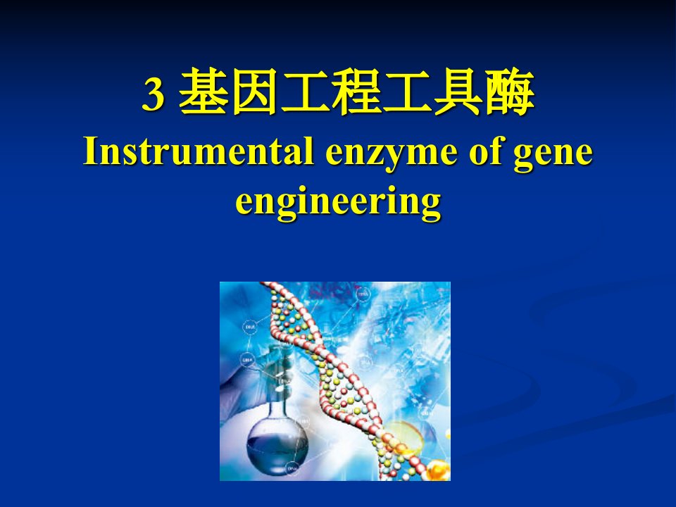 基因工程的工具酶