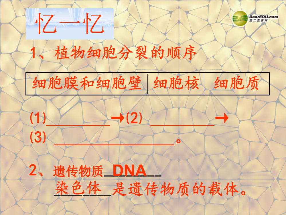 七年级生物上册动物体的结构层次2新人教版