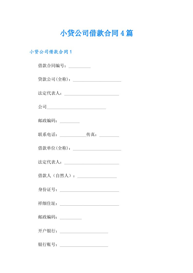 小贷公司借款合同4篇