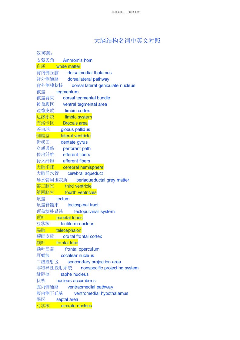 大脑结构名词中英文对照