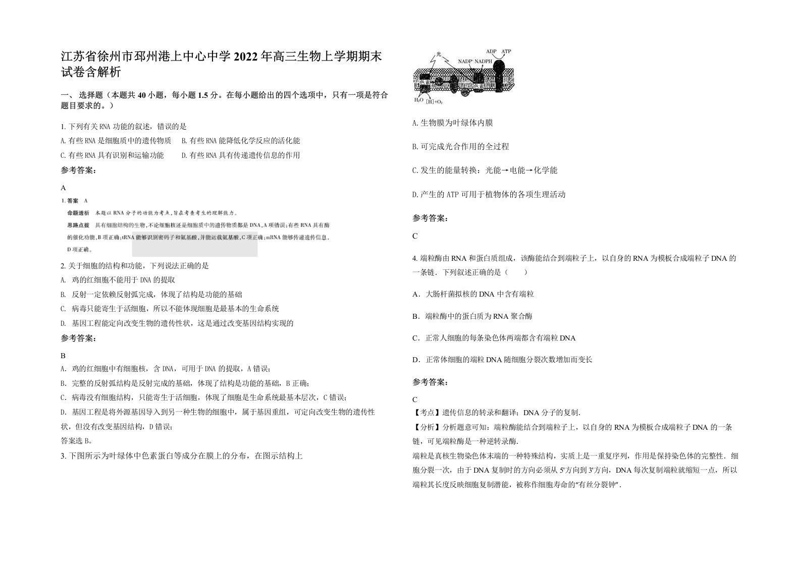 江苏省徐州市邳州港上中心中学2022年高三生物上学期期末试卷含解析