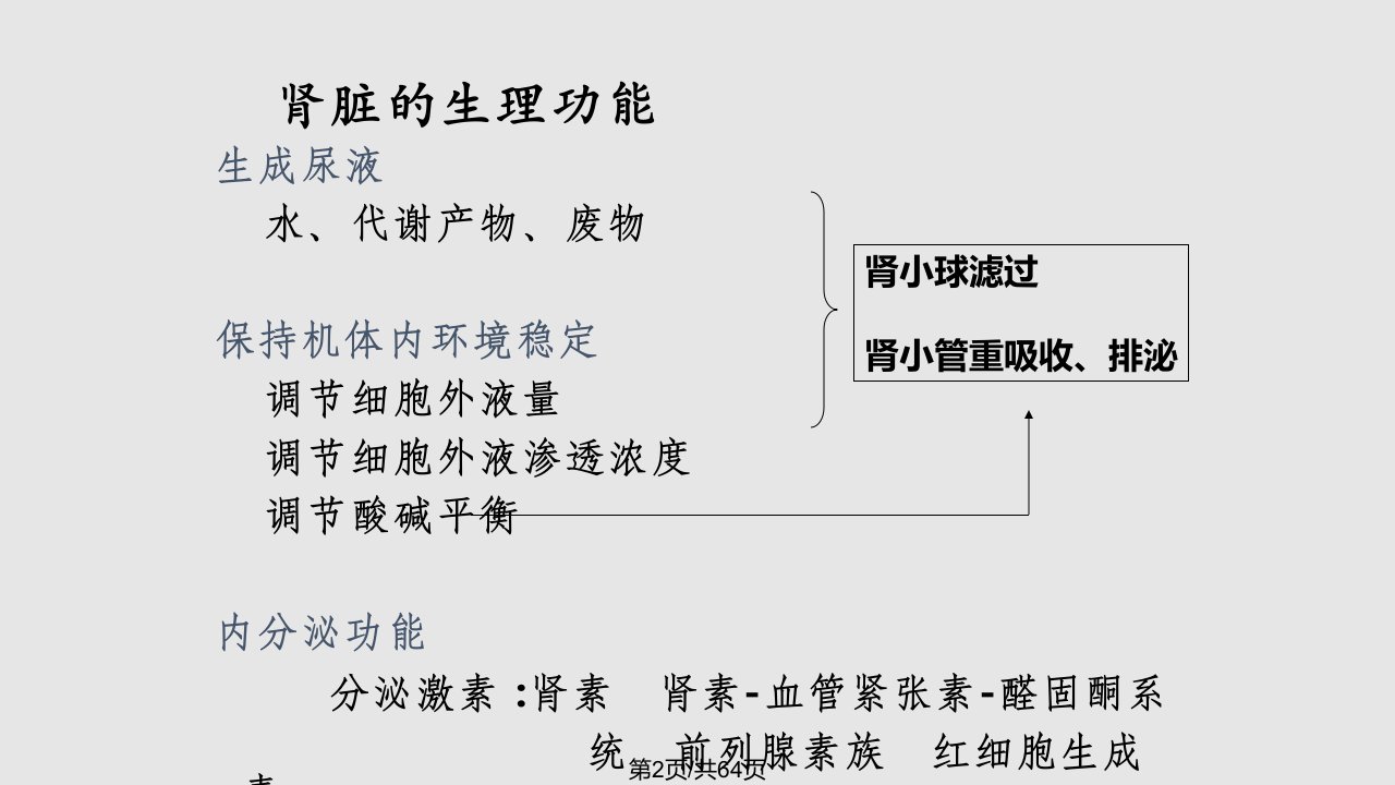 肾功能的实验室检查