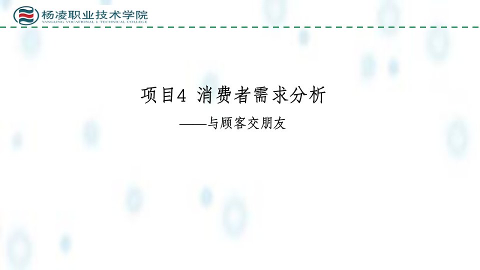 市场营销实务课件项目4消费者行为与消费者需求分析