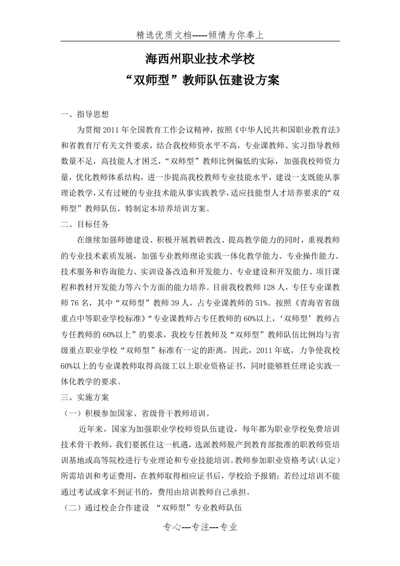 双师型教师队伍建设方案(共2页)