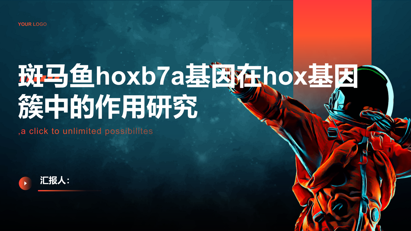 斑马鱼hoxb7a基因在hox基因簇中的作用研究