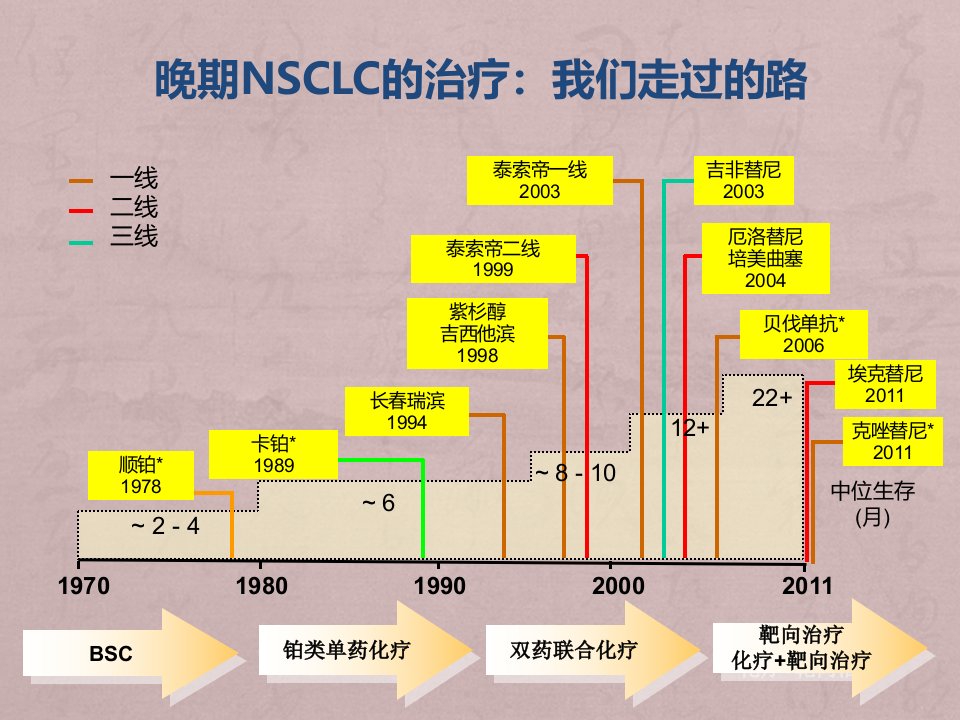 肺癌的分子靶向治疗课件