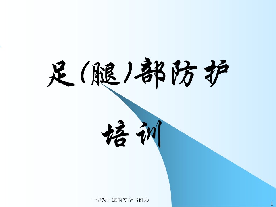 足(腿)部防护培训(ppt29)-管理培训