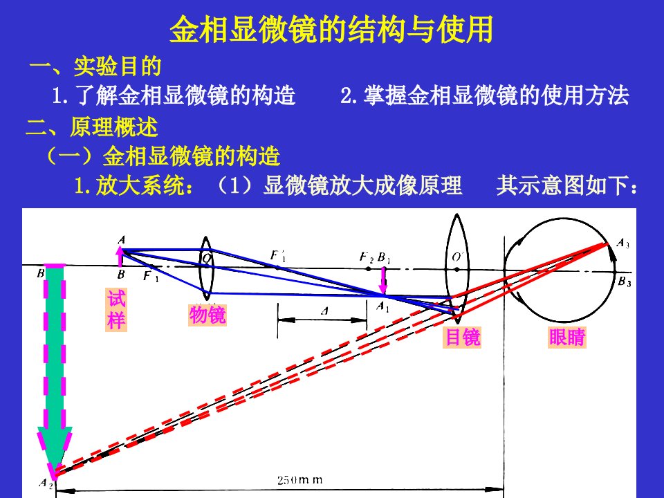 金相显微镜的结构与使用