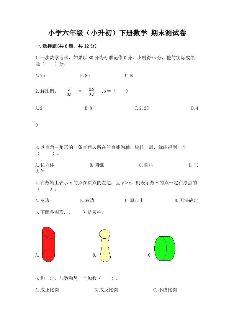 小学六年级（小升初）下册数学