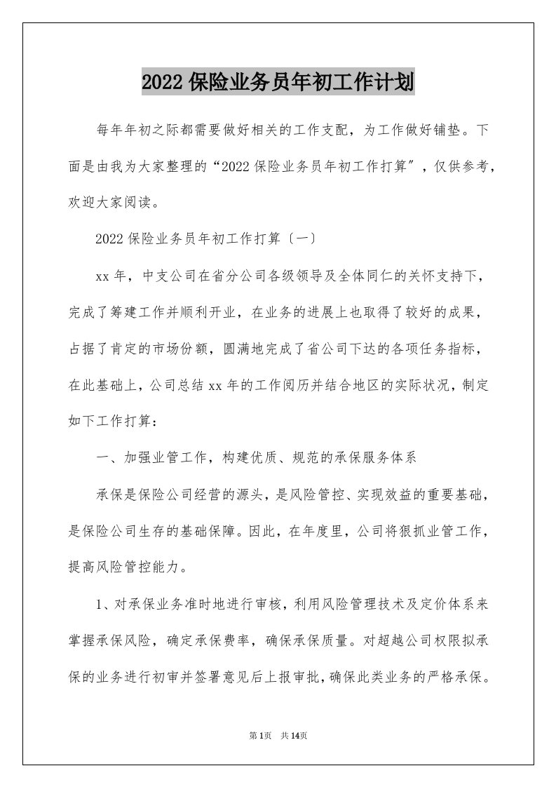 2022保险业务员年初工作计划