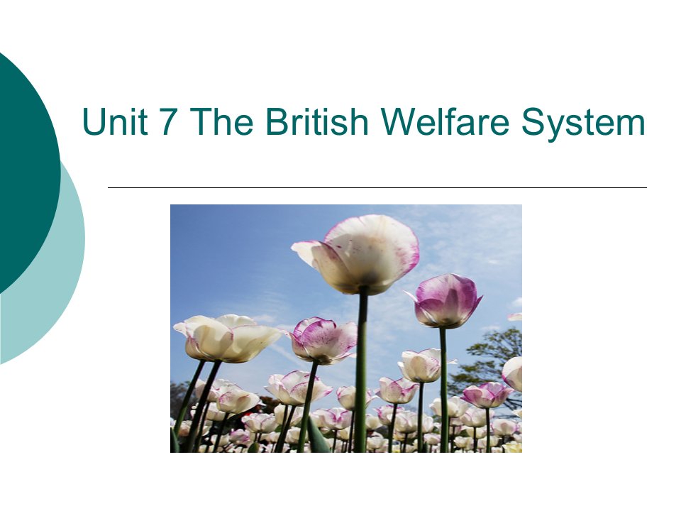 unit-7-the-british-welfare-system英国福利系统