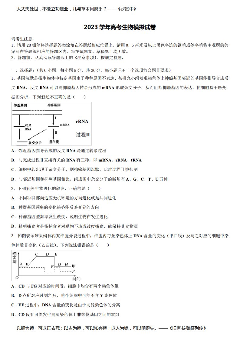 2023届山东省泰安高三第一次模拟考试生物试卷含解析