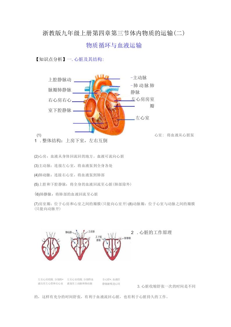 2022-2023学年浙江九年级上学期科学同步练习--物质循环与血液运输