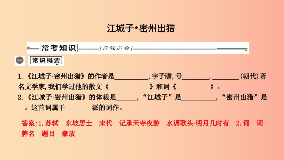 2019年中考语文总复习