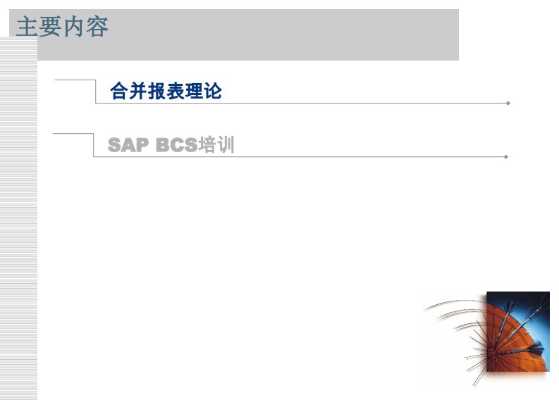 SAP_报表合并理论+ECCS实例教程(1).pdf