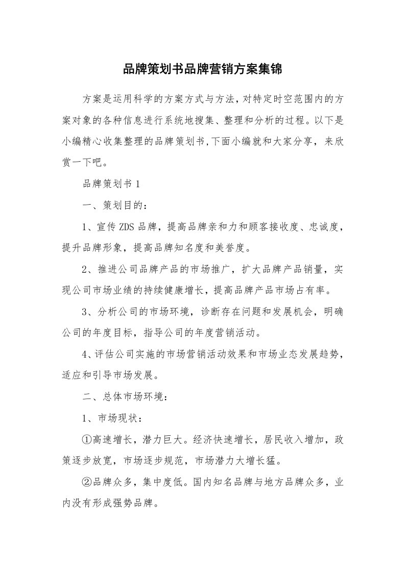 办公文秘_品牌策划书品牌营销方案集锦