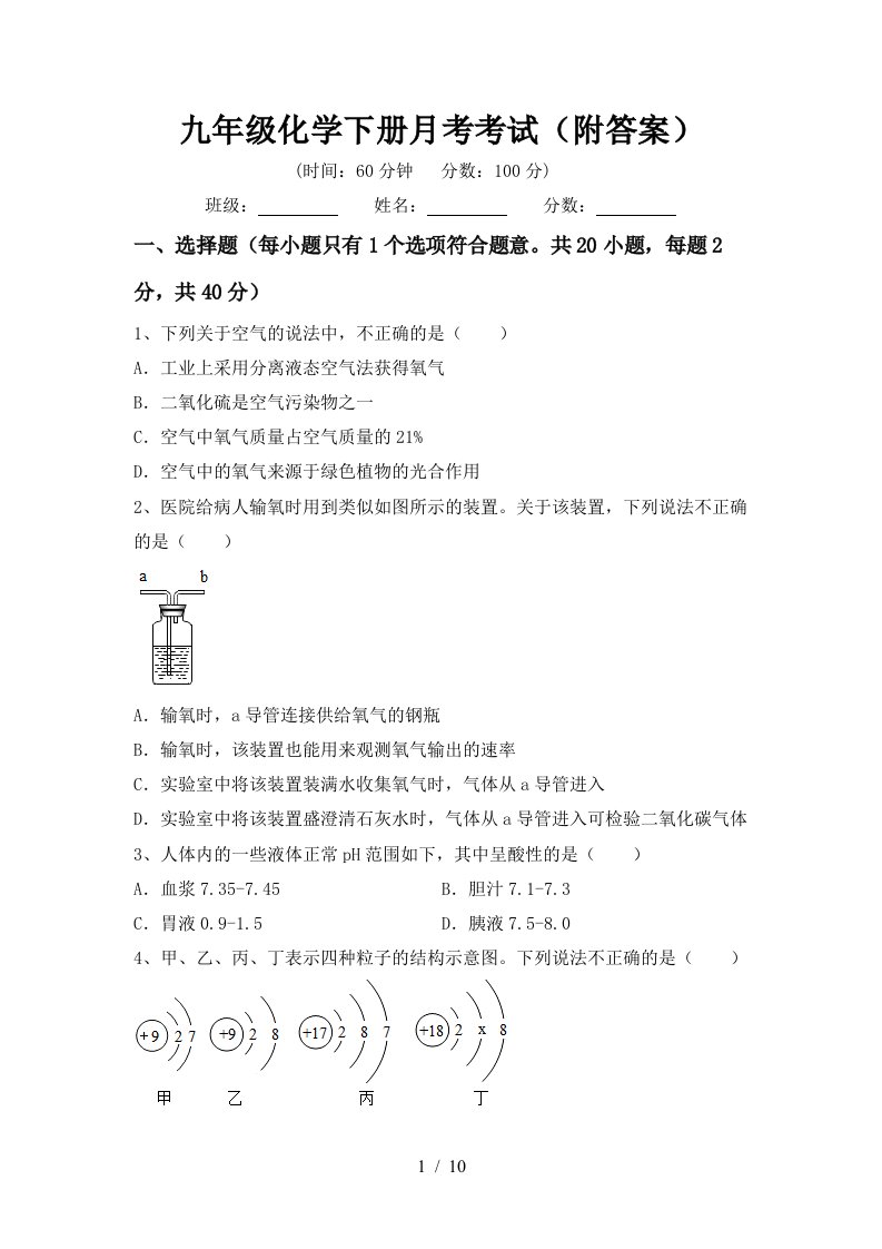 九年级化学下册月考考试附答案