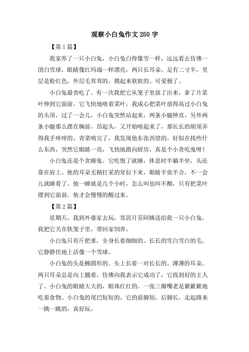 观察小白兔作文250字