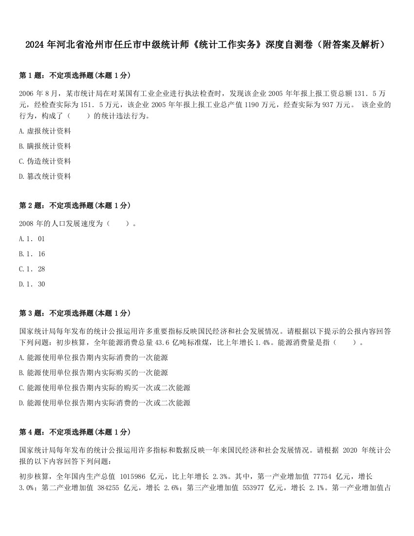 2024年河北省沧州市任丘市中级统计师《统计工作实务》深度自测卷（附答案及解析）