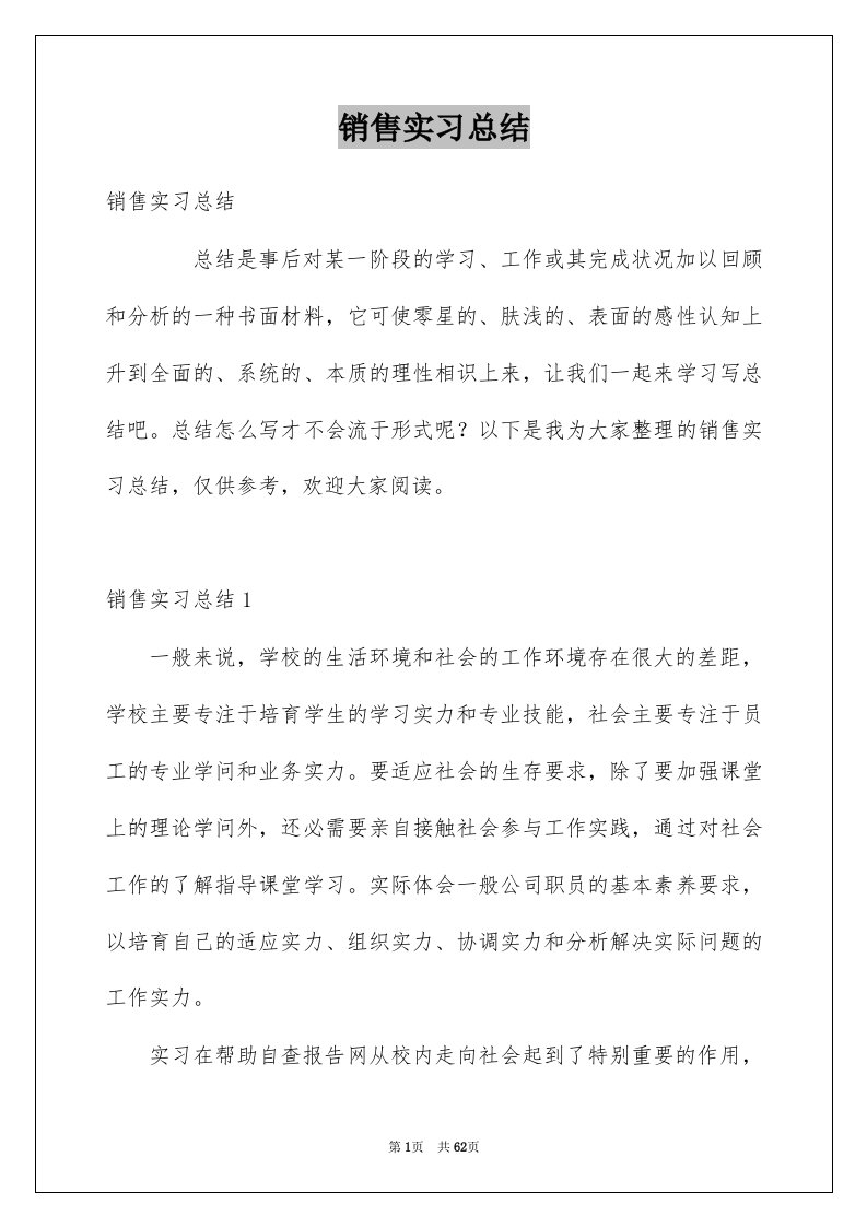 销售实习总结例文2