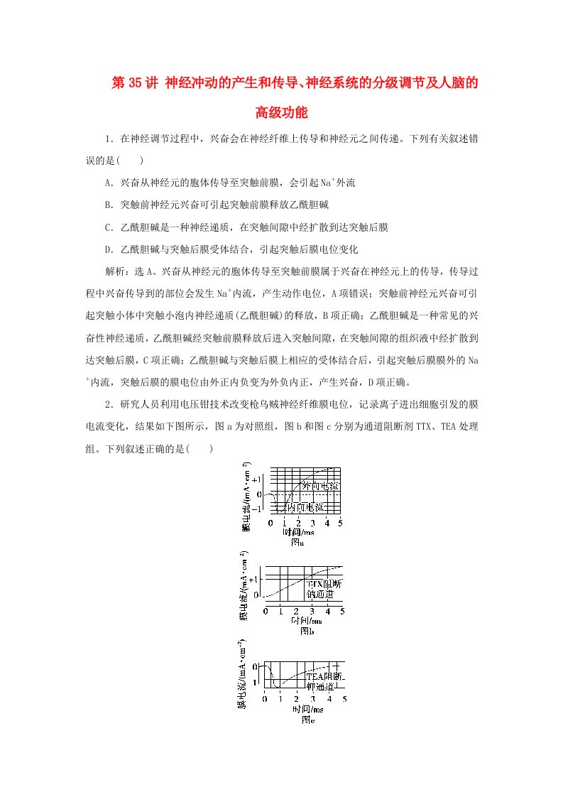 2025届高考生物一轮总复习真题演练选择性必修1第八单元稳态与调节第35讲神经冲动的产生和传导神经系统的分级调节及人脑的高级功能