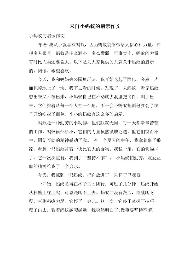 来自小蚂蚁的启示作文