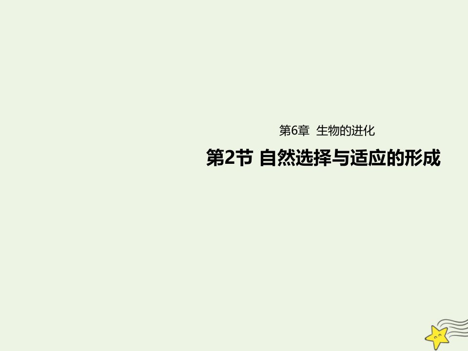 新教材高中生物第6章生物的进化2自然选择与适应的形成课件新人教版必修2