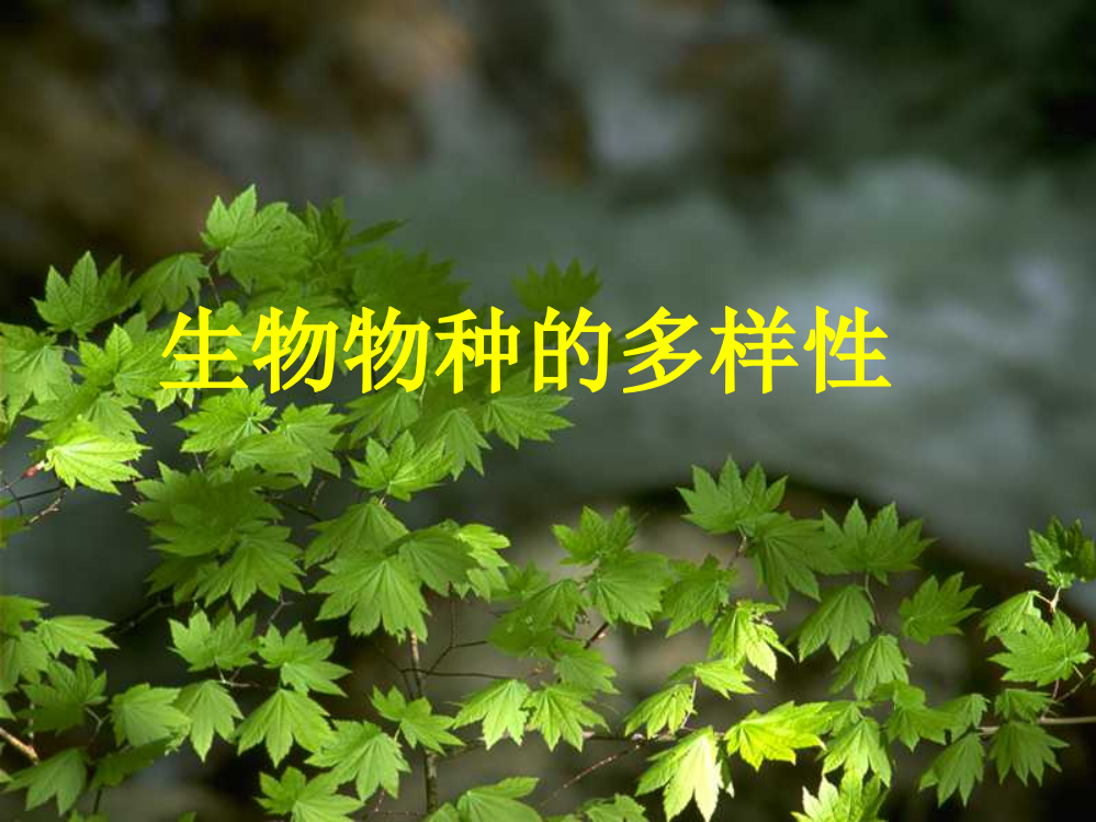 蔡孜菡生物物种的多样性