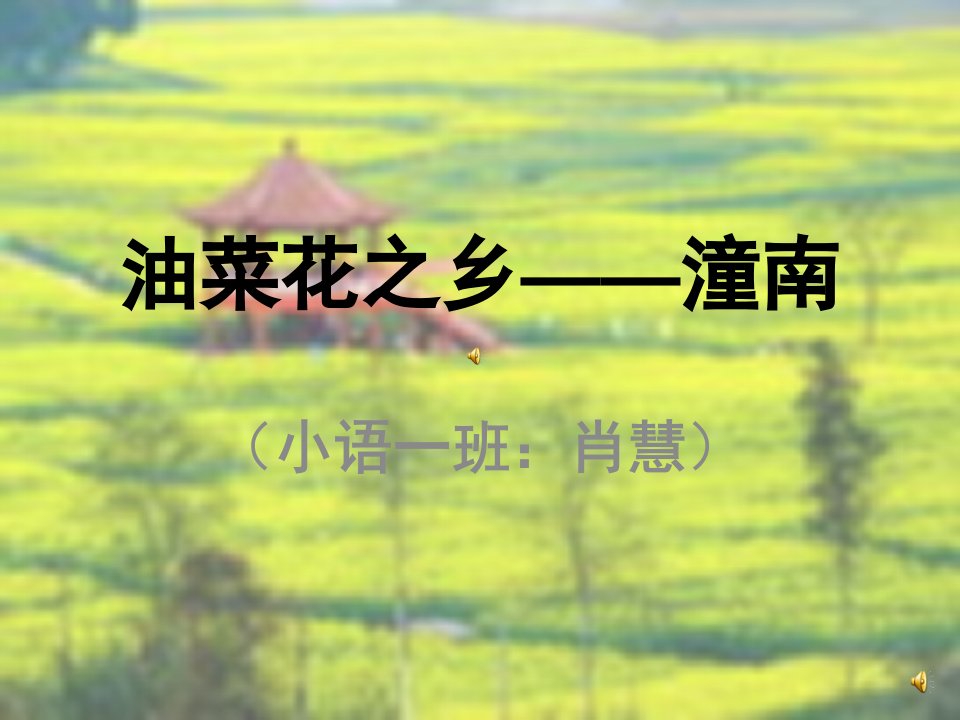 油菜花之乡——潼南-课件（PPT·精·选）