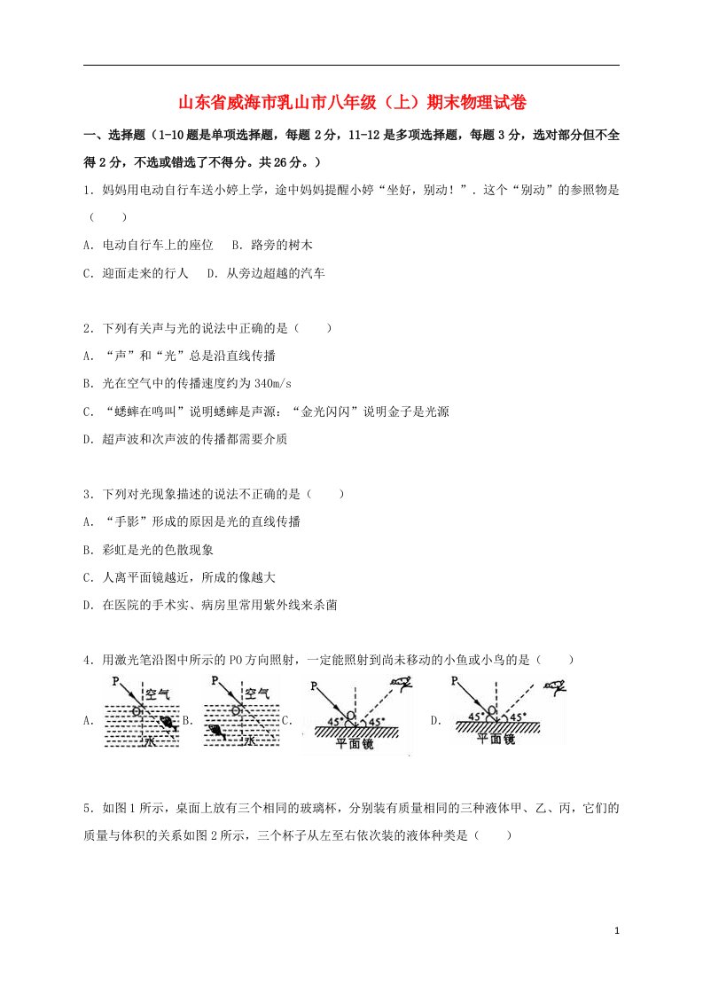 山东省威海市乳山市八级物理上学期期末试题（含解析）