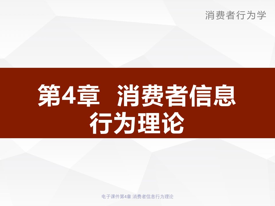 电子课件第4章消费者信息行为理论