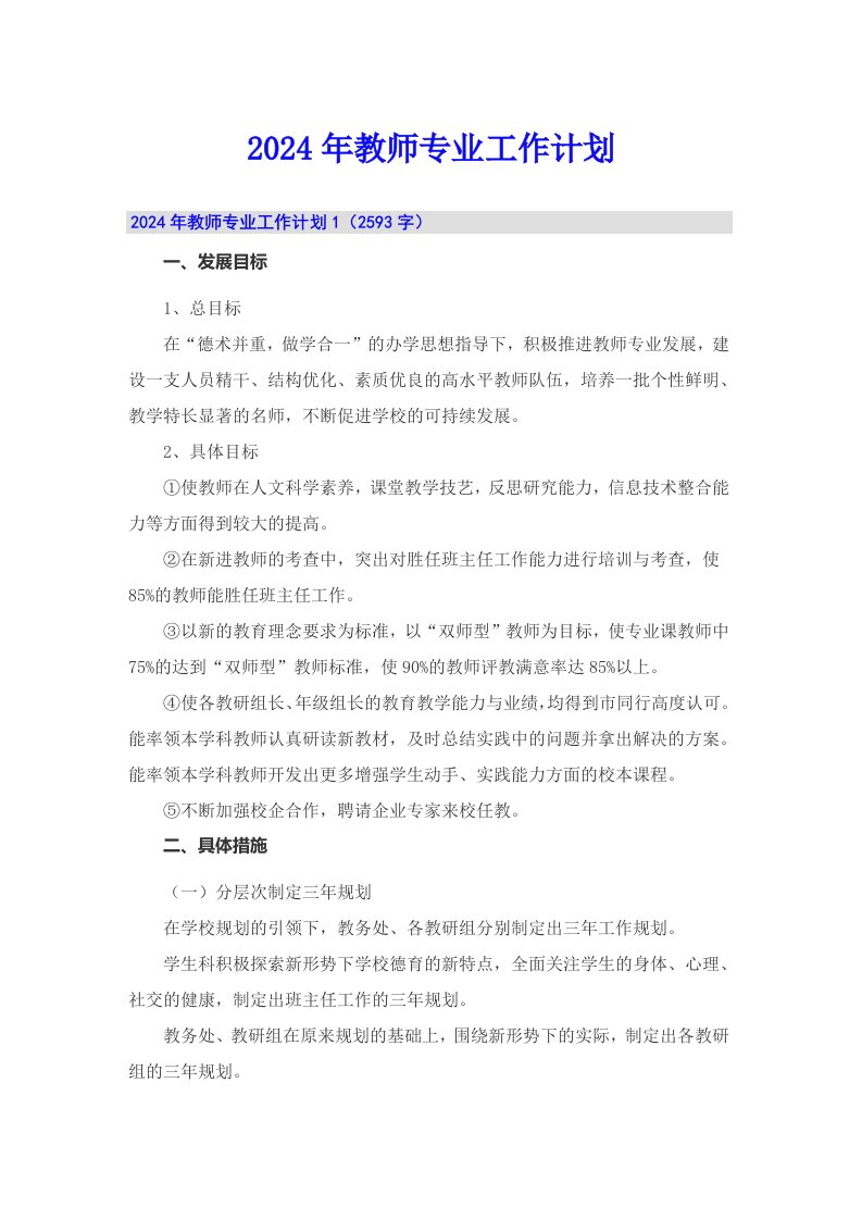 2024年教师专业工作计划