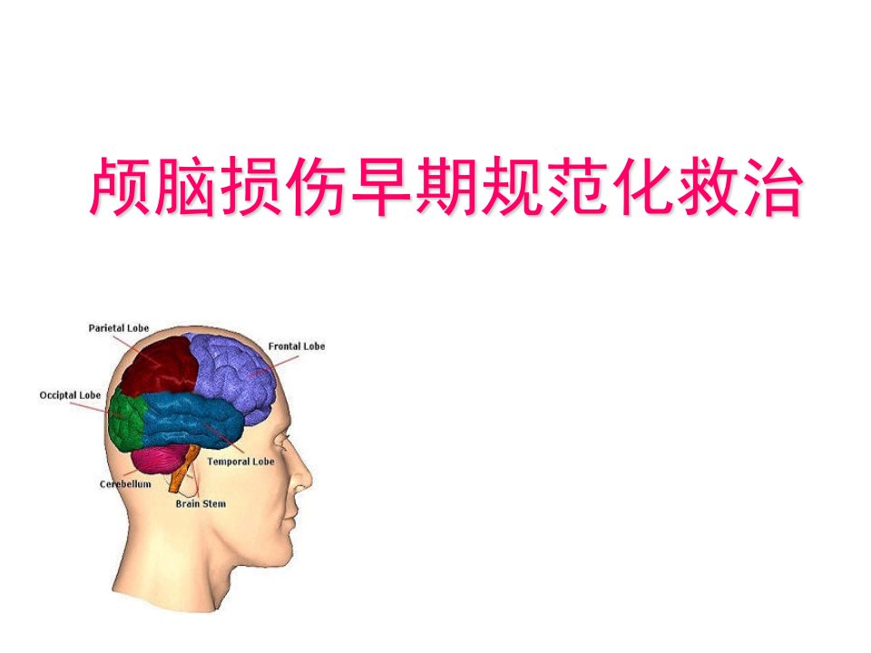 颅脑损伤规范化治疗_幻灯片