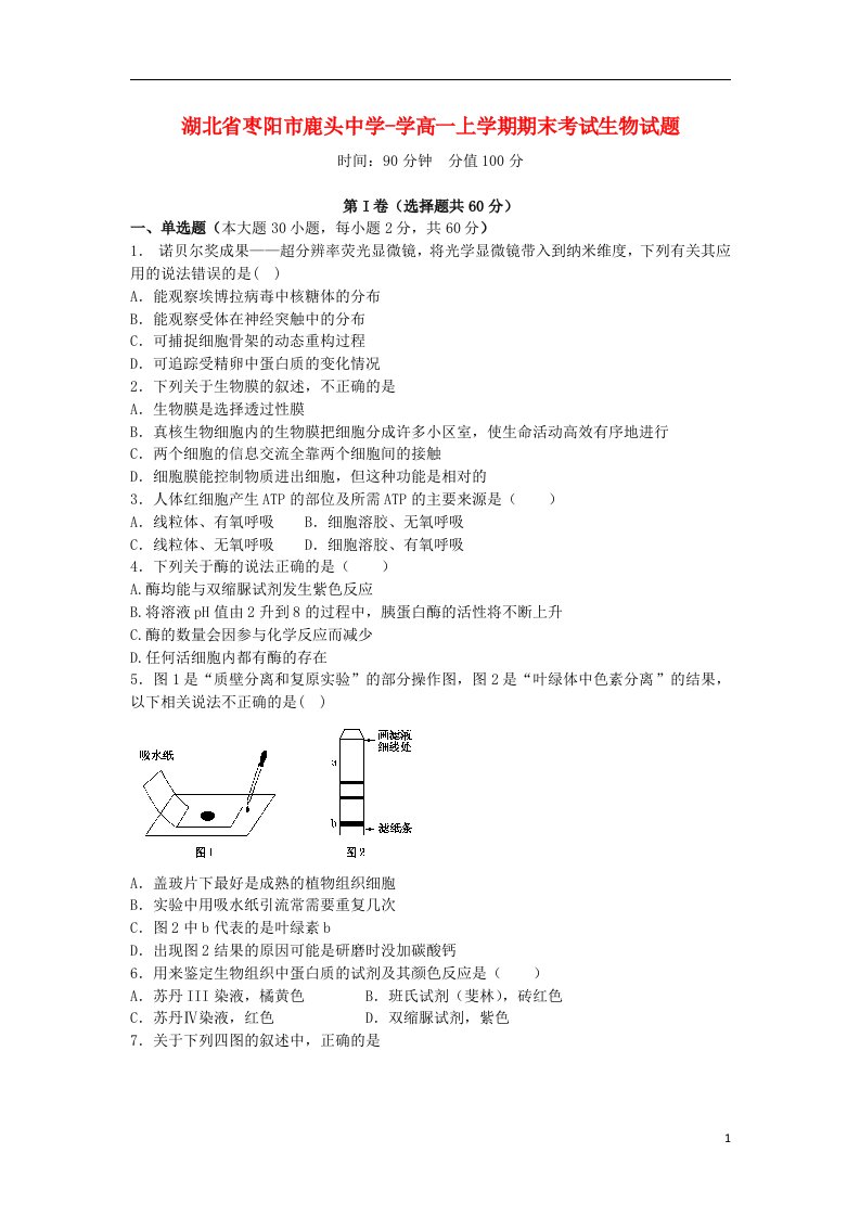 湖北省枣阳市鹿头中学高一生物上学期期末考试试题