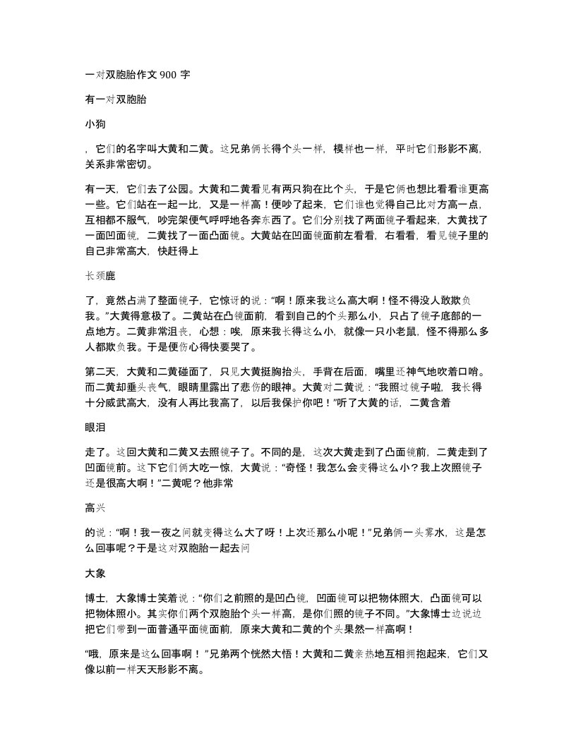 一对双胞胎作文900字