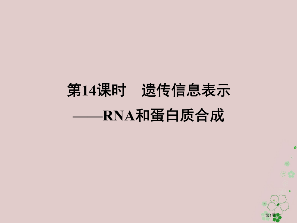 高中生物第三章遗传的分子基础第14课时遗传信息的表达——RNA和蛋白质的合成同步备课省公开课一等奖新