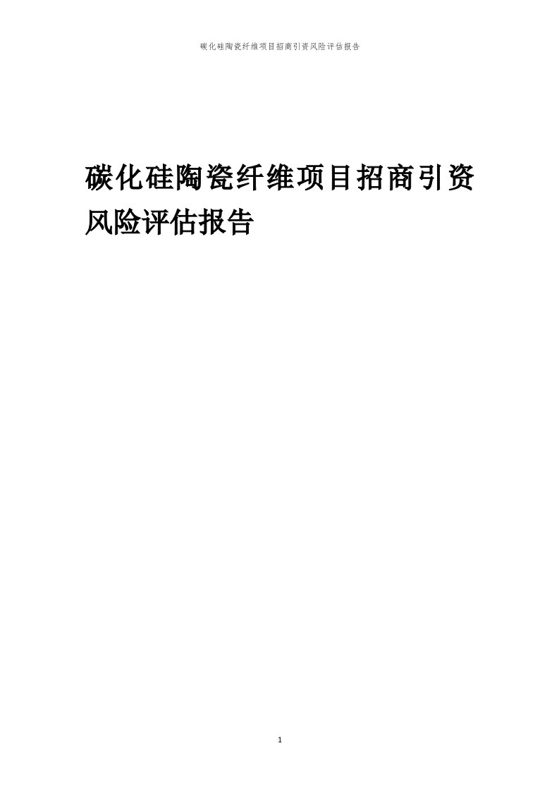 2023年碳化硅陶瓷纤维项目招商引资风险评估报告