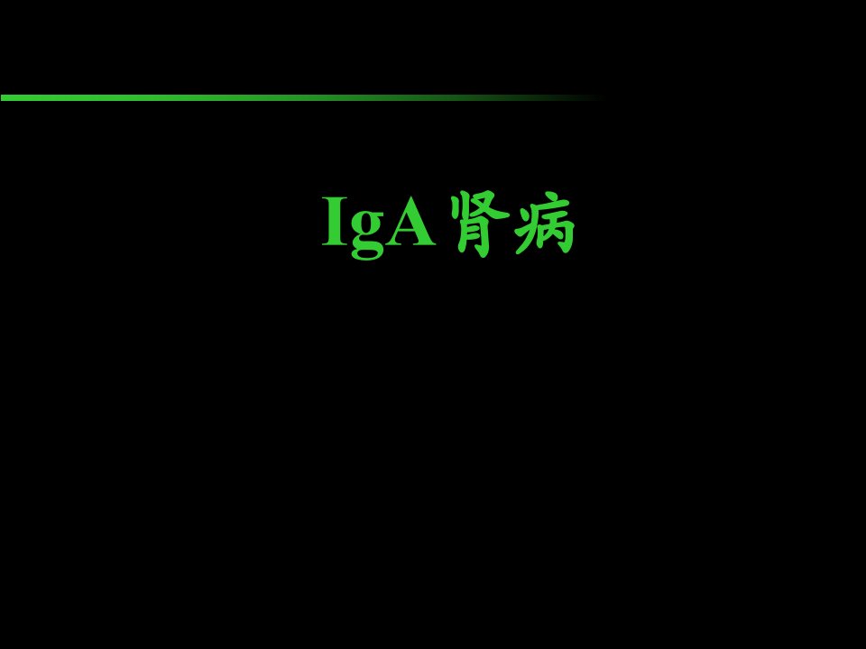 IgA肾病课件