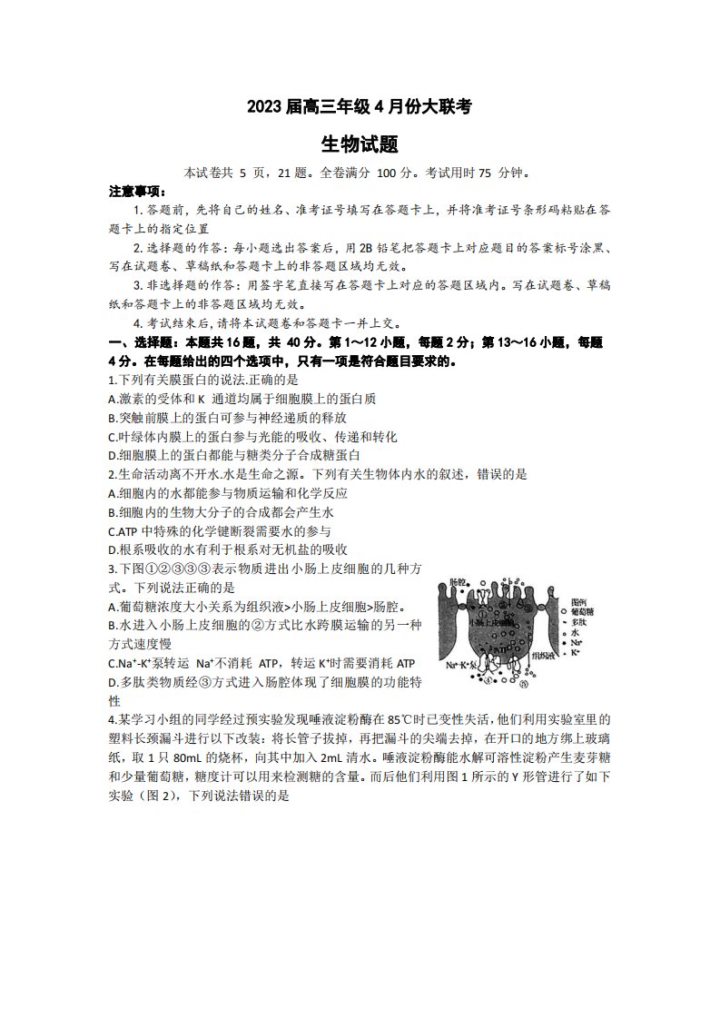 广东省2023届高三学业水平选择性模拟考试（二）生物试卷及答案