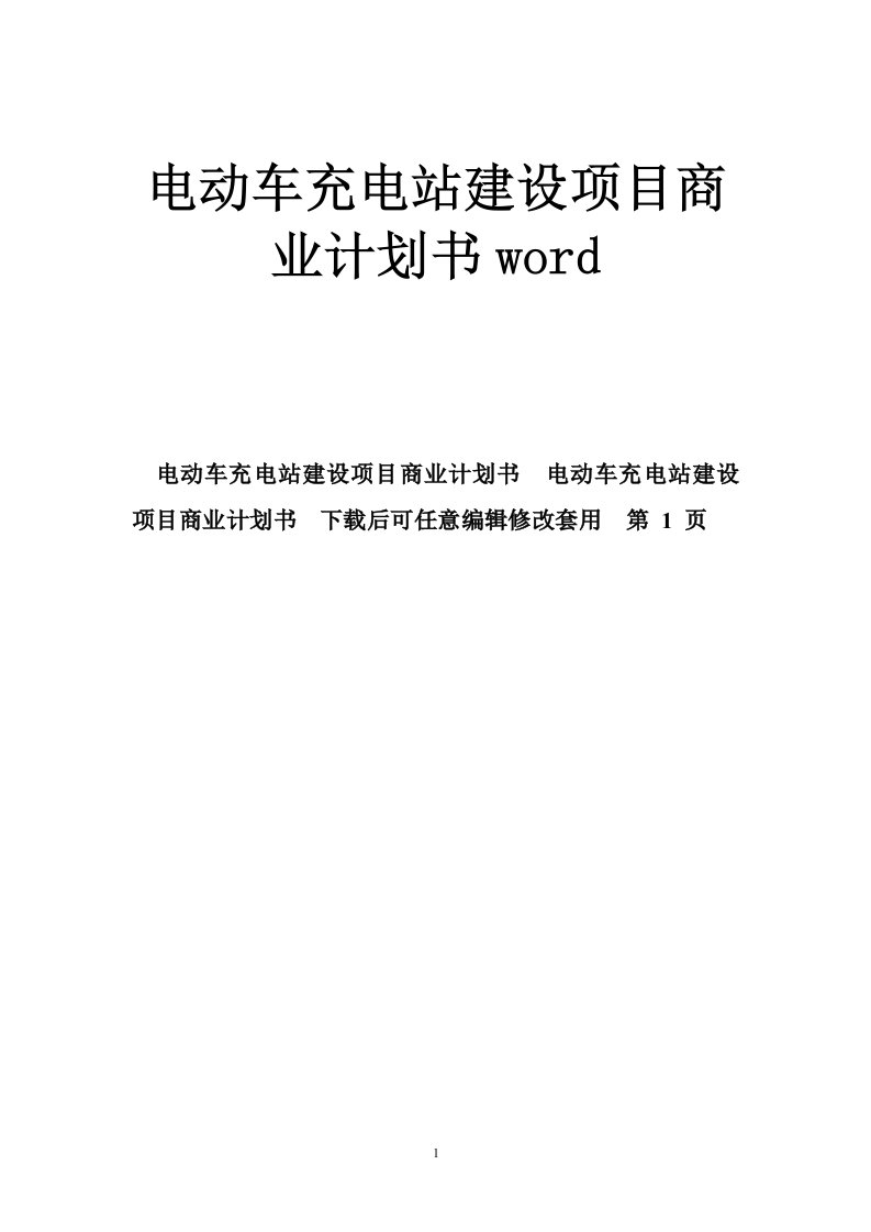 电动车充电站建设项目商业计划书word