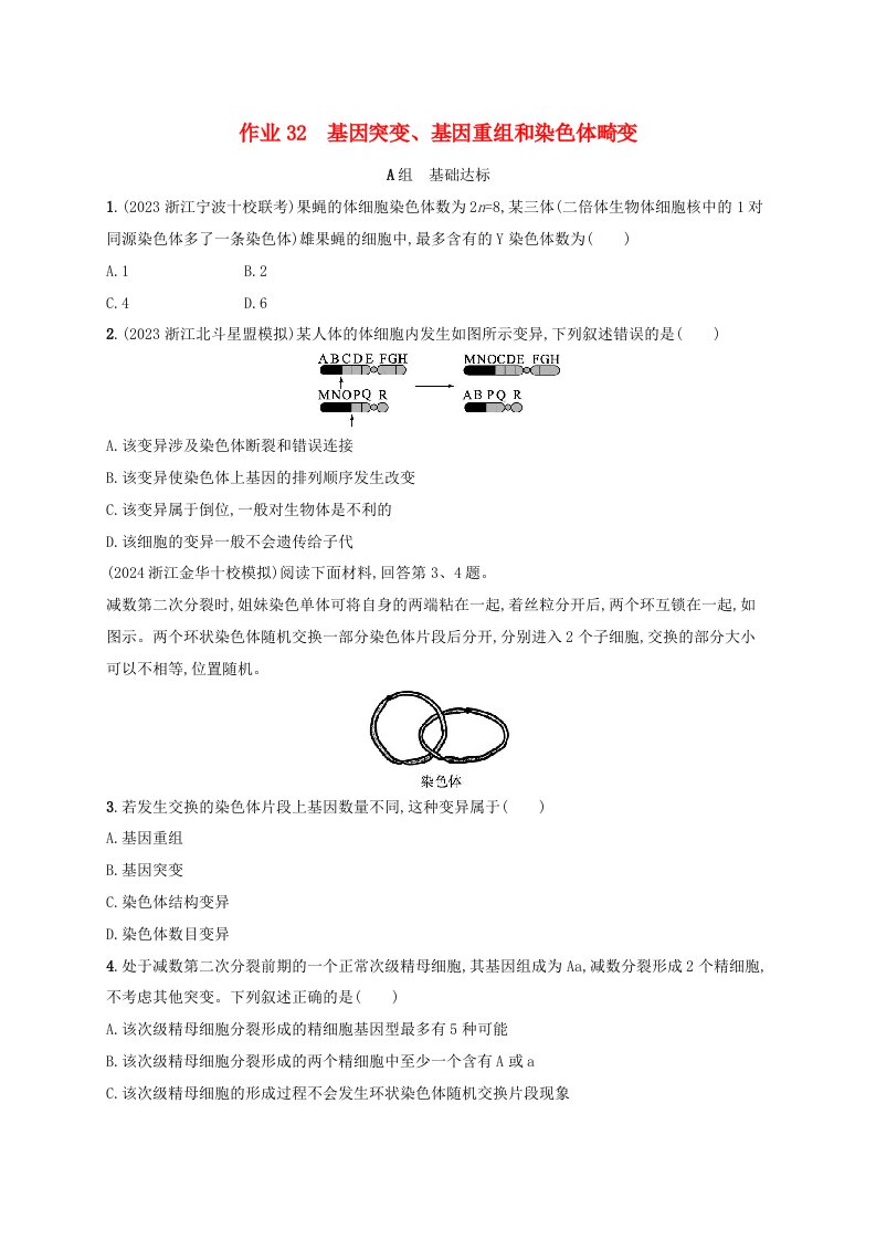 适用于新高考新教材浙江专版2025届高考生物一轮总复习第6单元生物的变异与进化作业32基因突变基因重组和染色体畸变浙科版