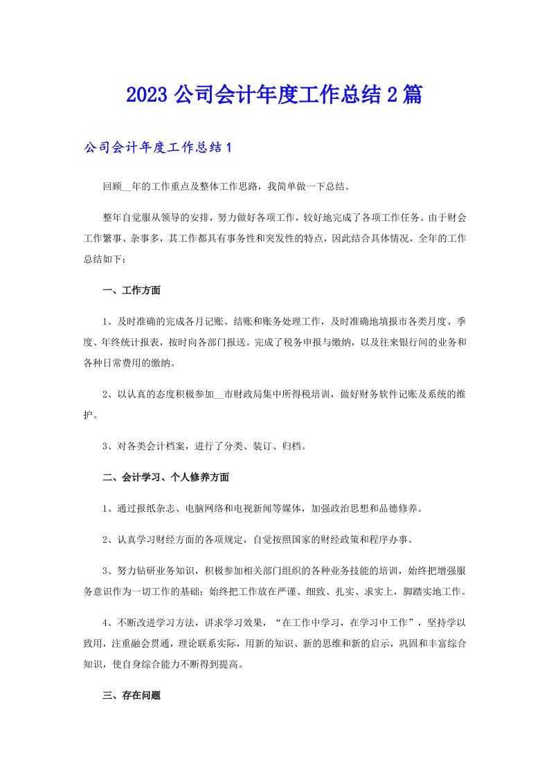 2023公司会计年度工作总结2篇