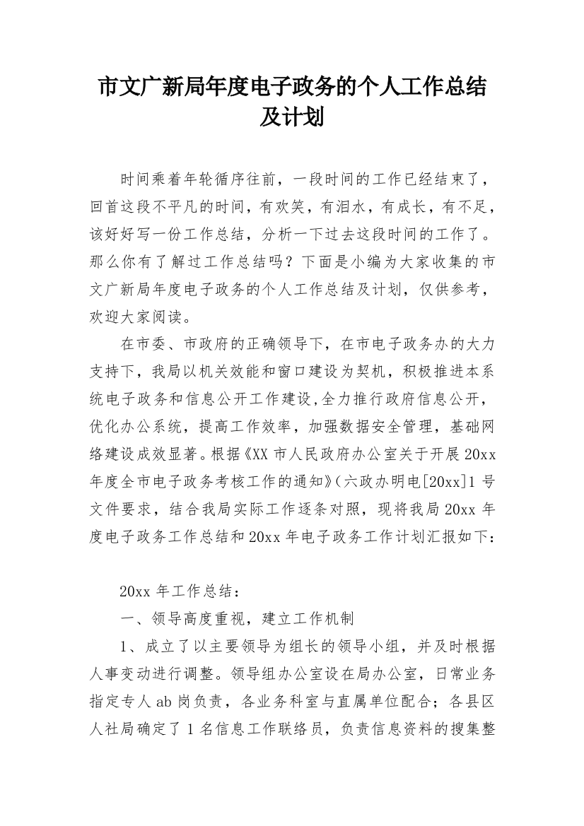 市文广新局年度电子政务的个人工作总结及计划